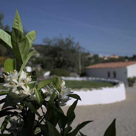 Cosy Farmhouse Quinta Da Eira 140 Years Old Loulé Exteriör bild